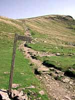 looking up the path to pen-y-ghent